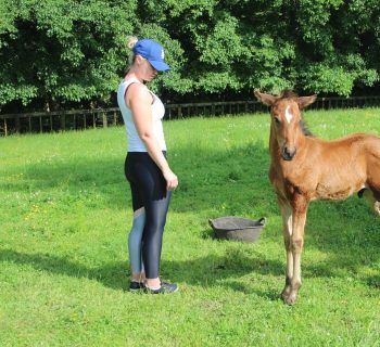 CB8A3F87-C194-4F51-950E-44B54AE8FB2D