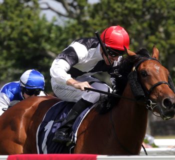 Real-Class-a-TD317145-1